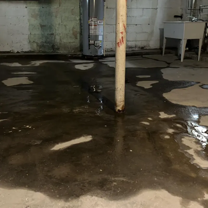 Emergency Water Extraction And Removal in Trenton, MI